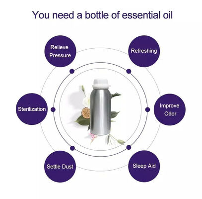 Wholesale Electric Scent Diffuser Fragrance Oil 500ml Perfume Essential Oil for Aroma Diffuser Wholesale Marketing